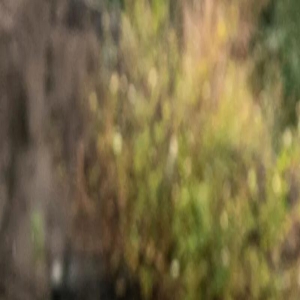 《绝命毒师》“老白”宣布息影 或将专心陪伴家人