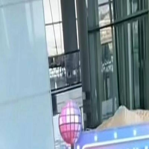 汪小菲携儿女飞日本，张兰出国与其汇合，网友：唯利是图的母子俩