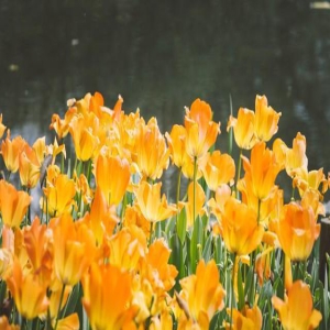 写给某人:无缘夫妻,你也是我一辈子的爱恋