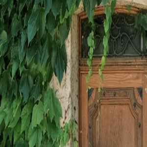 最近流行一种穿法叫“上半身去蹦迪、下半身去开会”,特时髦吸睛