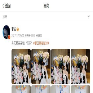 秦岚晒照庆44岁生日，怀抱熊猫腼腆迷人，身材窈窕美如初恋