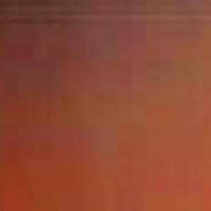 心理测试：哪一只蝴蝶最像假的？测你这辈子还能不能遇到真爱