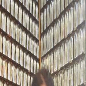 胡慧中在寺庙自拍,美颜后五官变样彻底认不出,穿蕾丝装嫩不得体