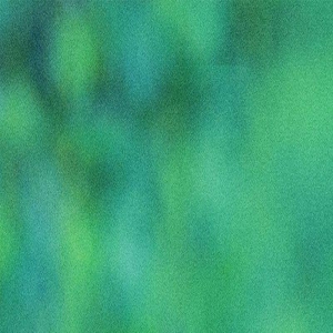 电影版《一闪一闪亮星星》开机 屈楚萧张佳宁同框