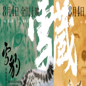 可爱度拉满！《雪豹和她的朋友们》萌化整个夏天