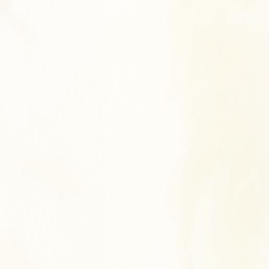 《变形金刚：超能勇士崛起》：只剩下变形和金刚