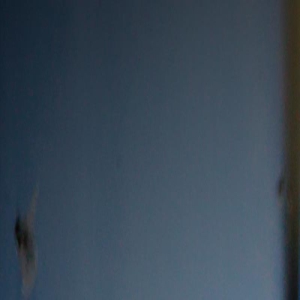 电影《乔治娅》观摩座谈会召开 专家热议创作立意