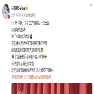 Selina挺7月孕肚浮潜,上岸惊觉没胎动被吓到