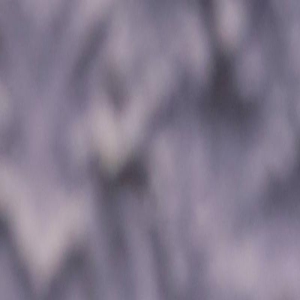 范丞丞期待与沈腾艾伦合作：演三角恋也应该会很有趣