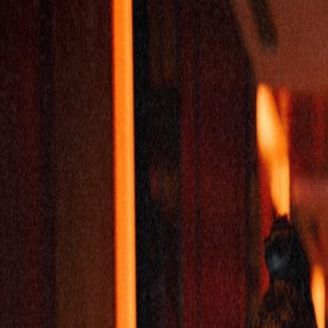 《狂飙》剧组重聚,张译再度缺席,导演徐纪周言论引争议!