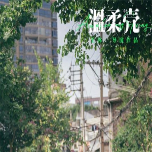 电影《温柔壳》曝终极预告 王子文尹昉捍卫爱情