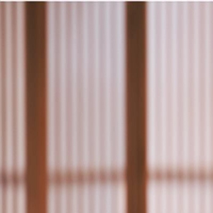 从网红到明星,这一次,白鹿彻底暴露了“野心”