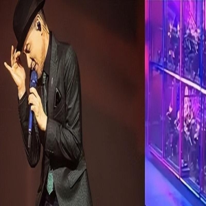 演唱会上张学友突然头晕跌倒后强撑身体继续唱,敬业精神让人敬佩