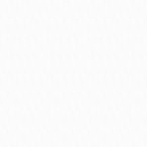 绽放光芒，岁月如歌