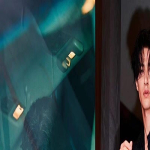 男明星曝光孩子当街遛狗,女明星秀迷人曲线,这场“疯魔”活动半个内娱都去了