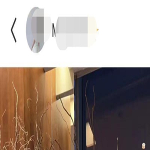 汪小菲和富婆合影,手肘放其胸前被指不妥,女方似林志玲模样般配