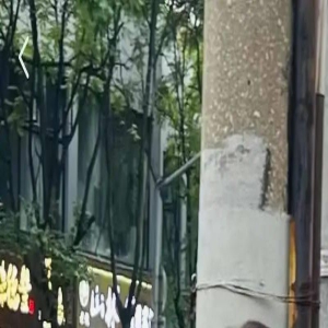 余秋雨比同龄更显老,头发秃顶十足的老爷爷,小15岁娇妻气质温婉