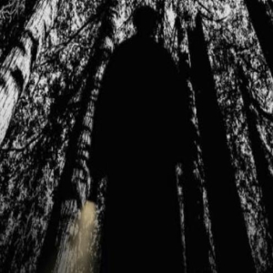 电影《踪迹》讲的是什么内容?故事改编自哪部小说?