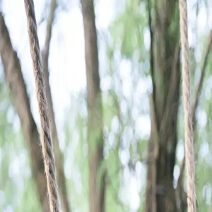 冯提莫的身高成谜,但是很会拍照,妥妥的大长腿