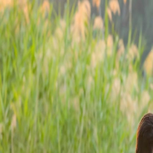 陆川谈《749局》：电影是对一代人青春的纪念