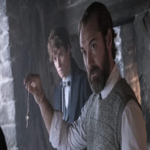 《神奇动物》导演确认华纳暂时搁置了这个系列