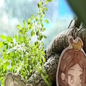 你的非鱼、小白,正向你飞奔而来!