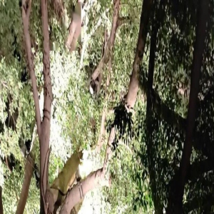 “都市漫游”:发现“附近”,回归内心