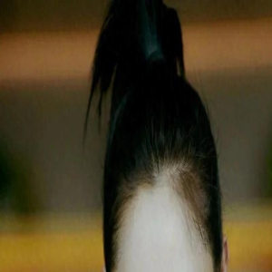 央八定档,“票房女王”白百何搭档顶流肖战,上演极致浪漫姐弟恋