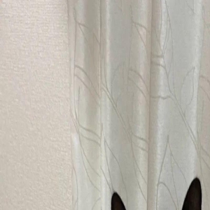 平时软萌的黑猫,一转头竟露出这种表情…铲屎官:你谁?