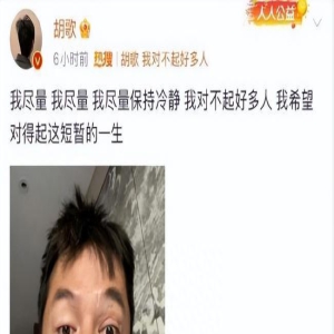 胡歌删博后再发自拍上热搜:成年人,必须情绪稳定吗?