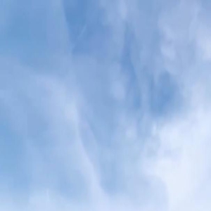 刘嘉玲梁朝伟同游意大利!甜蜜互动胜似新婚夫妻,将领终身成就奖