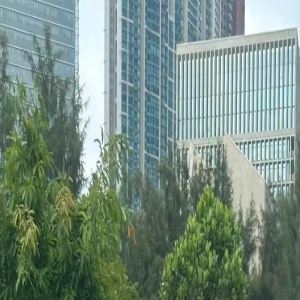 87岁谢贤现身公园,造型帅气精神状态超好,走路需要助理搀扶