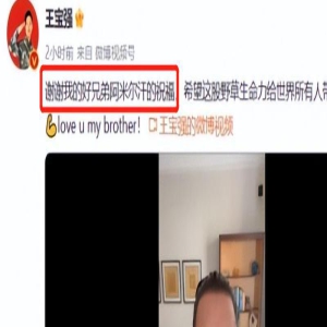 破17亿票房!41岁王宝强翻身了,他用作品狠狠打了资本一个耳光