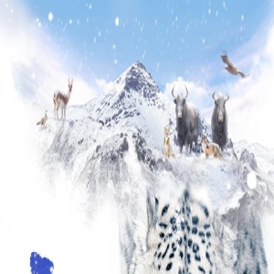 电影《雪豹和她的朋友们》7.22开启8城超前点映