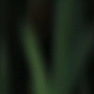 3大星座事业如日中天,8月4号鸿运当头吉星高照,迎来职业巅峰!