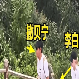撒贝宁又上热搜!一家四口张家界度假,小撒扛行李,俩娃颜值像爸