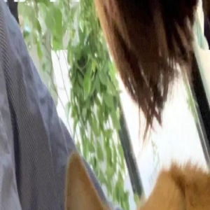 铲屎官准备抱着柯基拍照时...这货全程一脸懵逼!