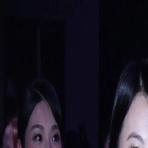 王岳伦与00后女友看演唱会引热议,李湘独享每晚八万酒店显孤单