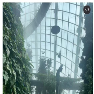 新加坡偶遇周冬雨第二弹!真人不到70斤,脸部崎岖被质疑医美过度